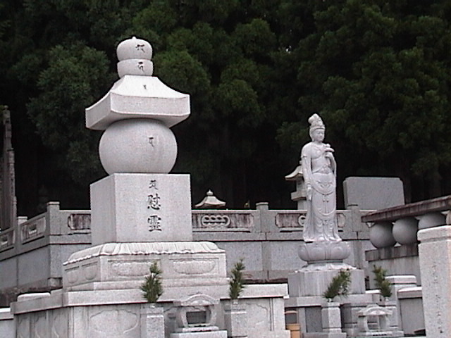 DSC00100.JPG