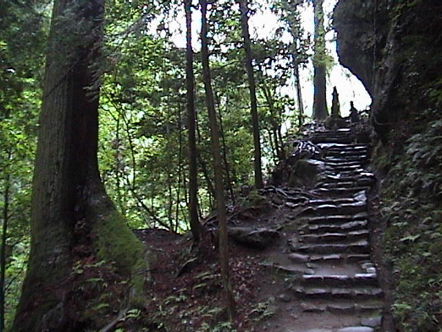 DSC00035.JPG