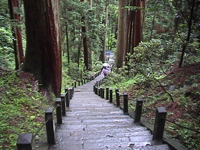 DSC00037.JPG
