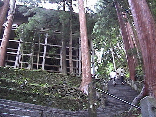 DSC00038.JPG