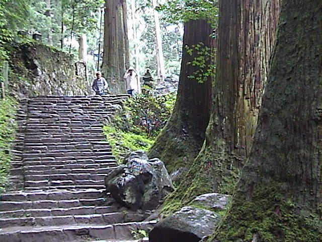 DSC00042.JPG