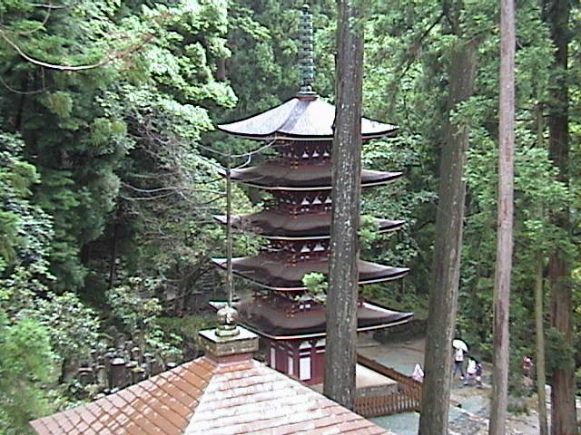 DSC00043.JPG