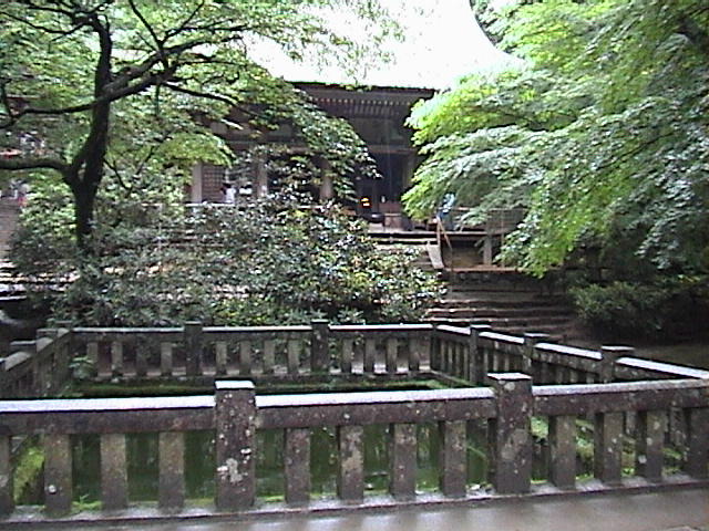DSC00049.JPG