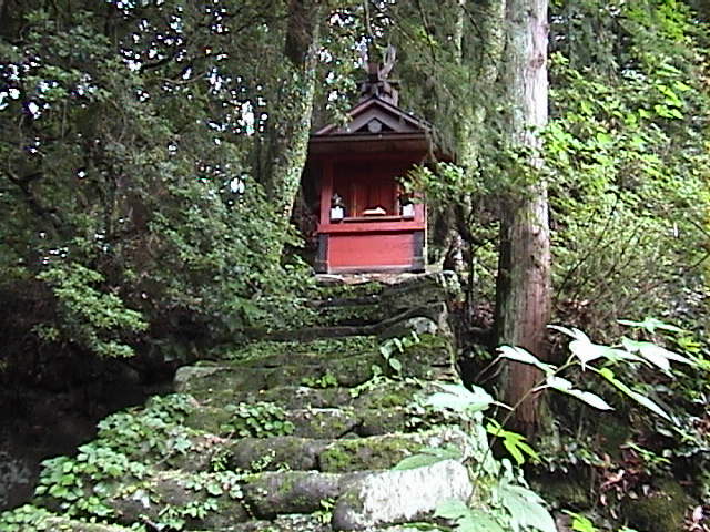 DSC00056.JPG