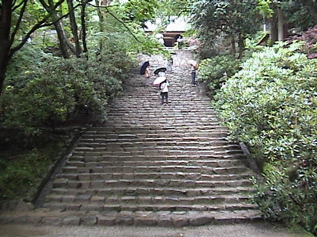 DSC00028.JPG