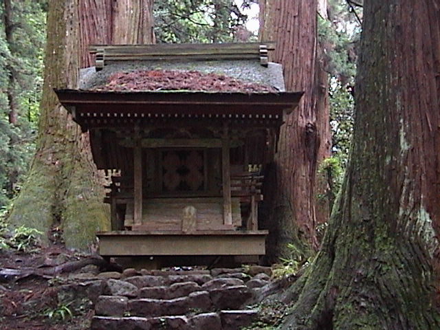 DSC00033.JPG