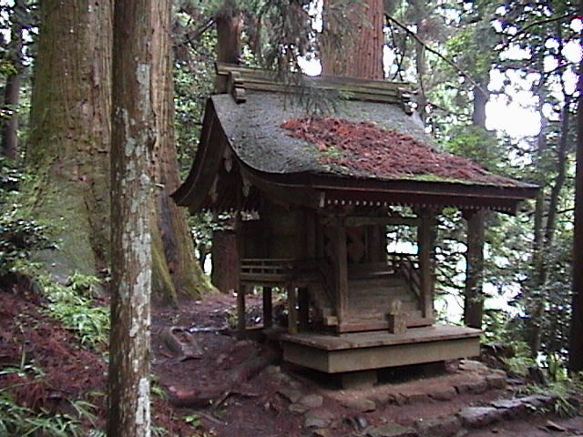 DSC00034.JPG