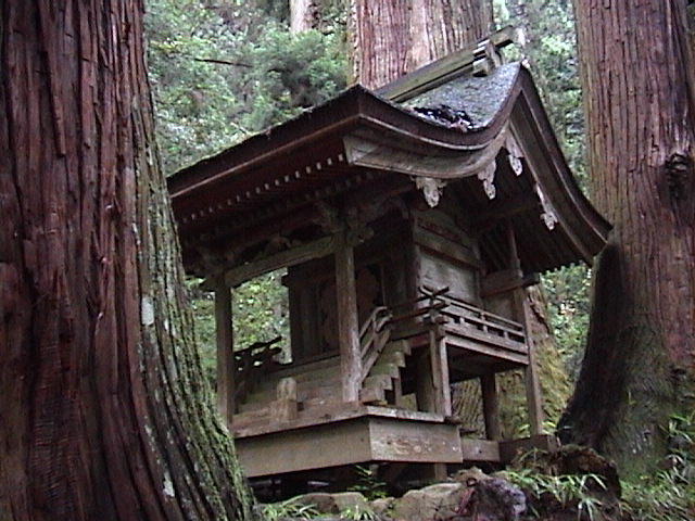 DSC00035.JPG