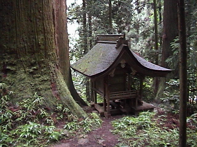 DSC00036.JPG