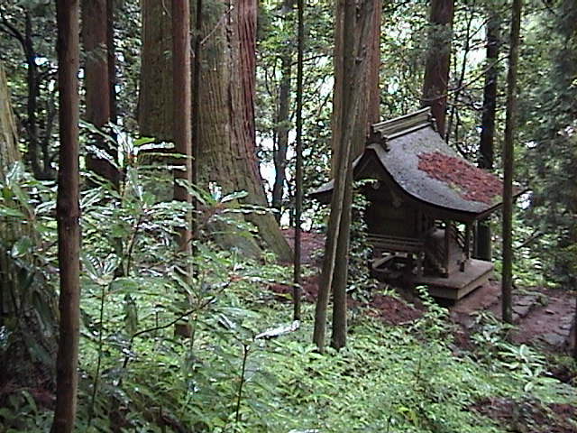 DSC00038.JPG