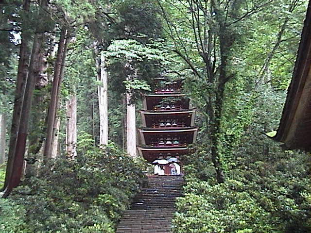 DSC00028.JPG