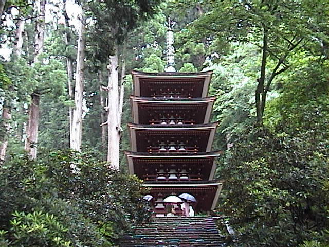 DSC00029.JPG