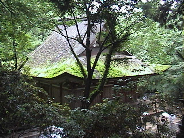DSC00030.JPG
