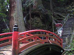 DSC00034.JPG