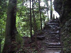 DSC00035.JPG