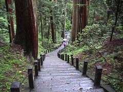DSC00037.JPG