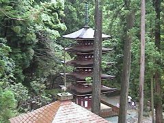 DSC00043.JPG
