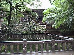 DSC00049.JPG