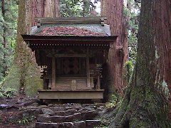 DSC00033.JPG
