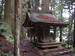 DSC00034.JPG