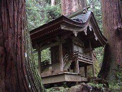 DSC00035.JPG