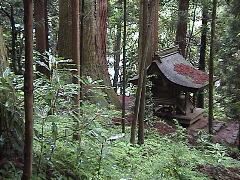 DSC00038.JPG