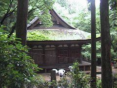 DSC00031.JPG